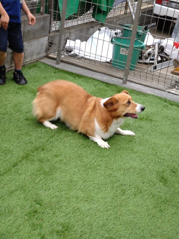 隆弥工務店(たかみこうむてん)